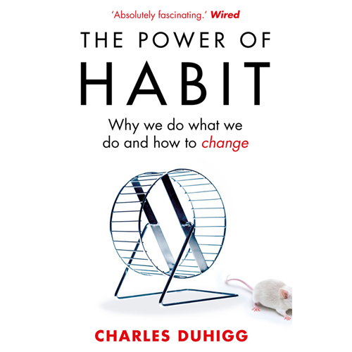 First Chapter of The Power of Habit